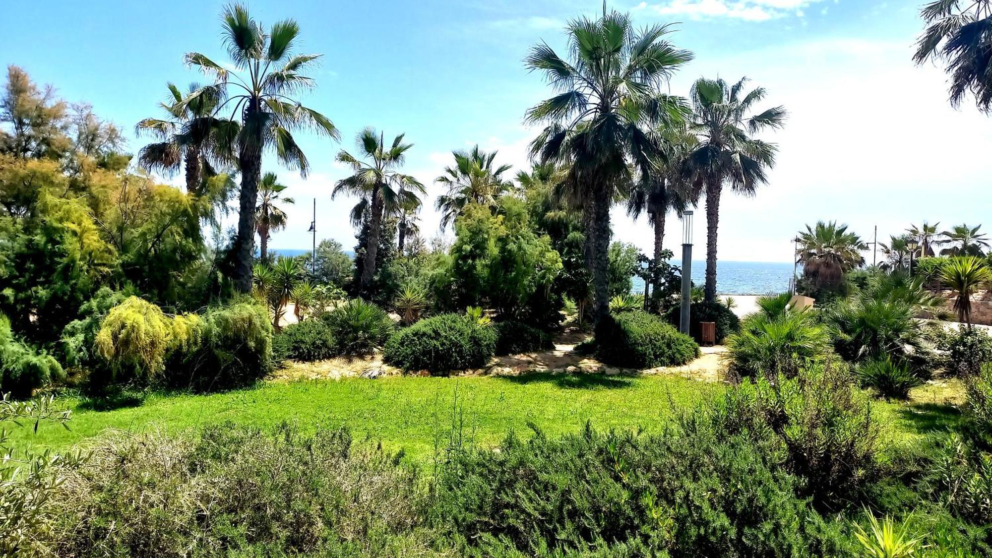 Punta Prima Torrevieja Fantazy01 Lägenhet Exteriör bild