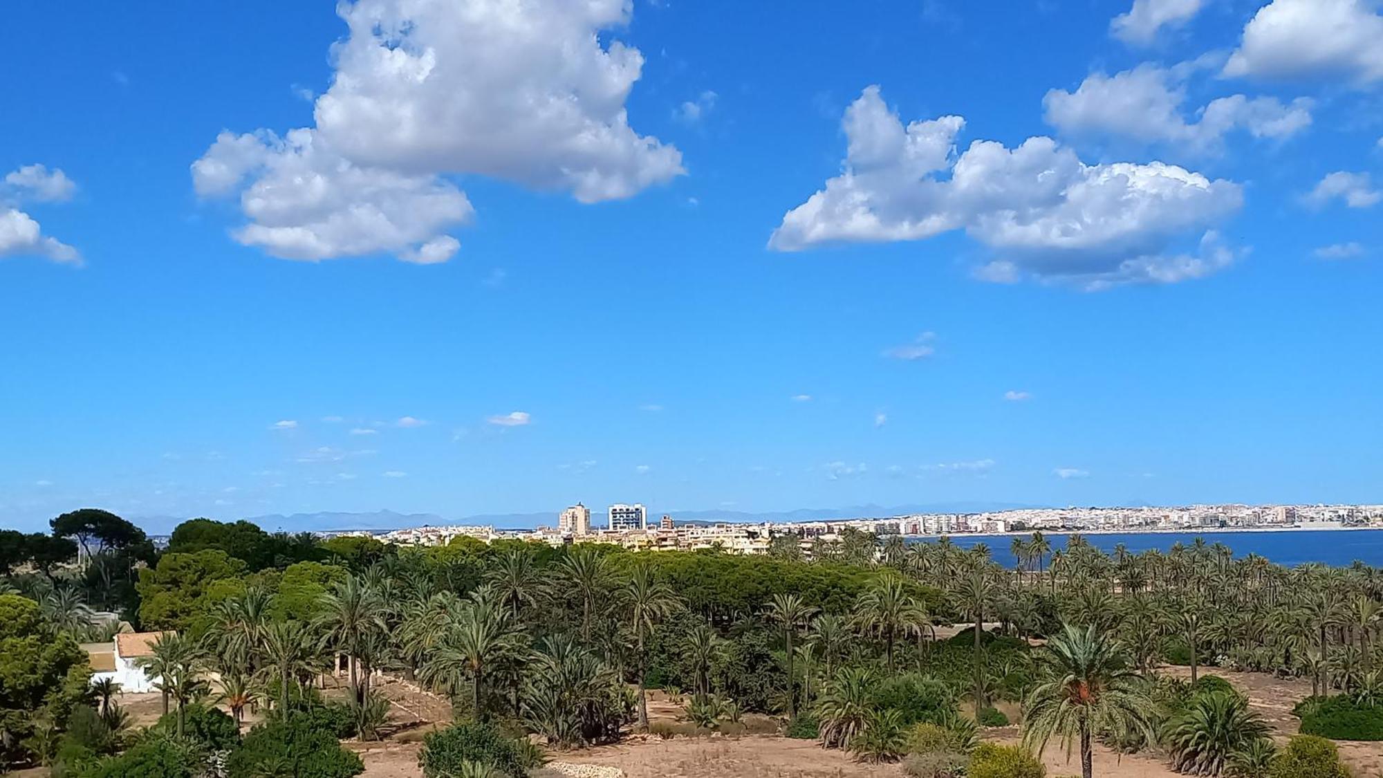 Punta Prima Torrevieja Fantazy01 Lägenhet Exteriör bild