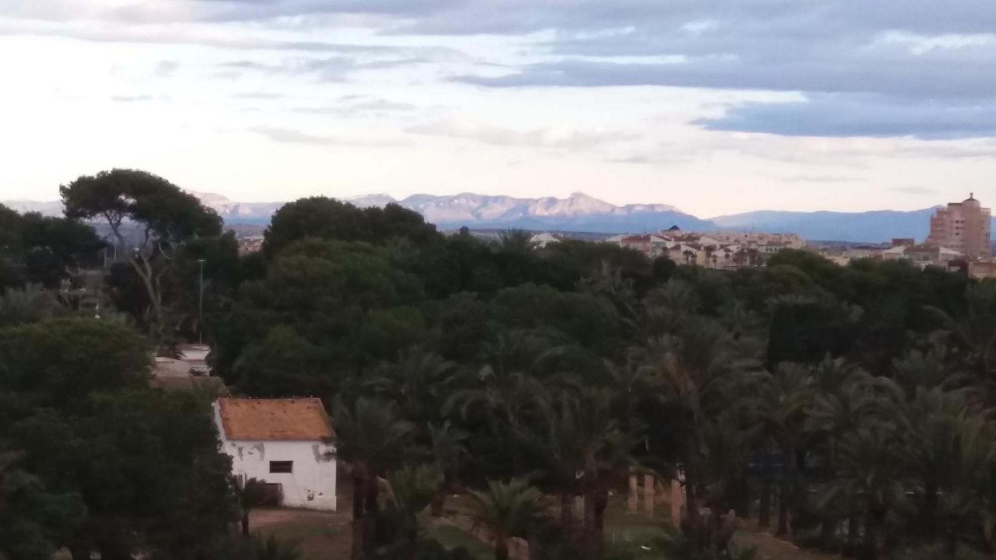 Punta Prima Torrevieja Fantazy01 Lägenhet Exteriör bild